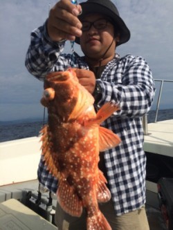 Blue.win 海人丸 釣果