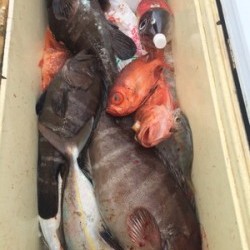 Blue.win 海人丸 釣果