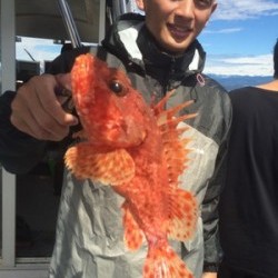 Blue.win 海人丸 釣果