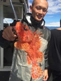 Blue.win 海人丸 釣果