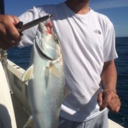 Blue.win 海人丸 釣果