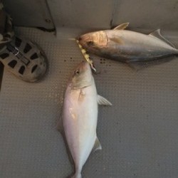 Blue.win 海人丸 釣果