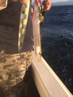 Blue.win 海人丸 釣果