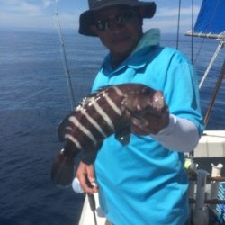 Blue.win 海人丸 釣果