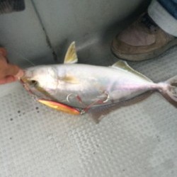 Blue.win 海人丸 釣果