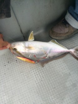 Blue.win 海人丸 釣果