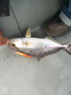 Blue.win 海人丸 釣果