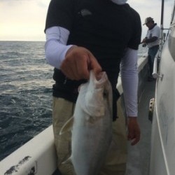 Blue.win 海人丸 釣果