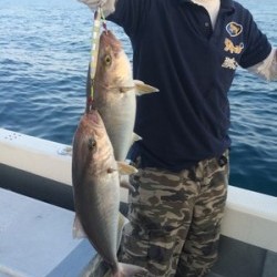 Blue.win 海人丸 釣果