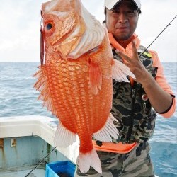 宝生丸 釣果