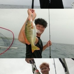WILDⅡ 釣果