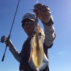 エヌスタイル 釣果