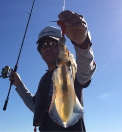 エヌスタイル 釣果