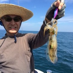 エヌスタイル 釣果