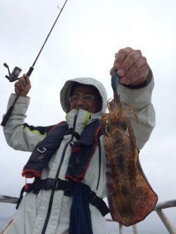 エヌスタイル 釣果