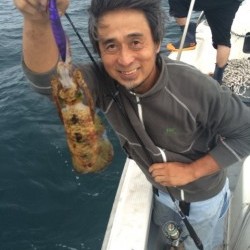 エヌスタイル 釣果