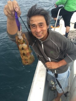 エヌスタイル 釣果