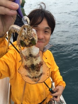 エヌスタイル 釣果