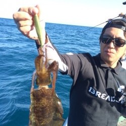 エヌスタイル 釣果