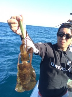 エヌスタイル 釣果