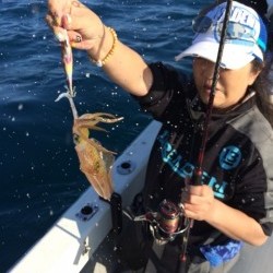 エヌスタイル 釣果