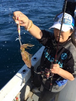 エヌスタイル 釣果