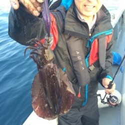 エヌスタイル 釣果