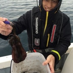 エヌスタイル 釣果