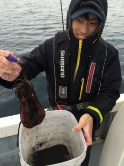 エヌスタイル 釣果