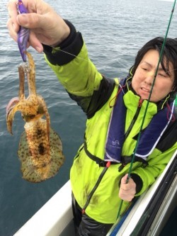 エヌスタイル 釣果