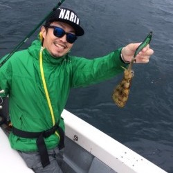 エヌスタイル 釣果