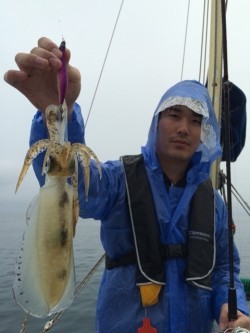 エヌスタイル 釣果