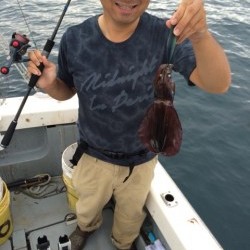 エヌスタイル 釣果