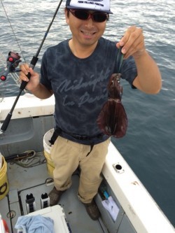 エヌスタイル 釣果