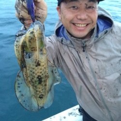 エヌスタイル 釣果