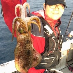 エヌスタイル 釣果