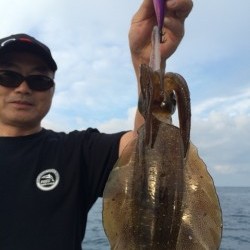 エヌスタイル 釣果