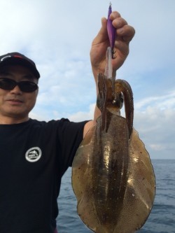 エヌスタイル 釣果