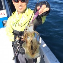 エヌスタイル 釣果