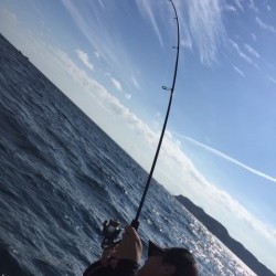 「LaGooN」蒼陽丸 日和号　 釣果