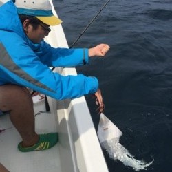 「LaGooN」蒼陽丸 日和号　 釣果