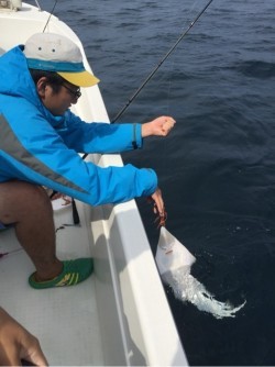 「LaGooN」蒼陽丸 日和号　 釣果