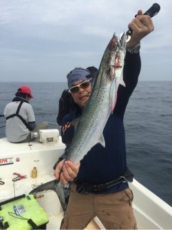 「LaGooN」蒼陽丸 日和号　 釣果
