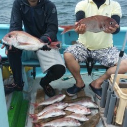 みやけ丸 釣果