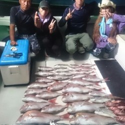 エムズジャーク（M’s JERK） 釣果