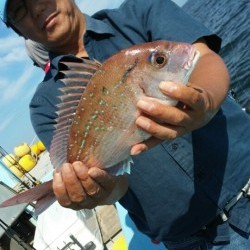 みやけ丸 釣果
