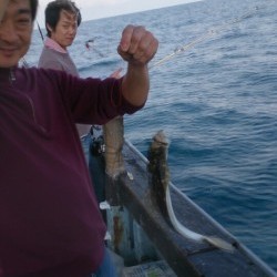 海龍丸 釣果