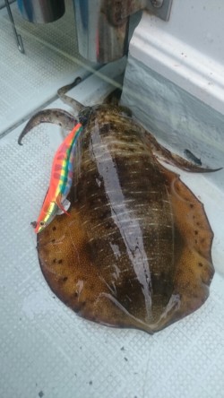 エムズジャーク（M's JERK…