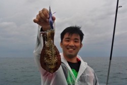 South Current 釣果