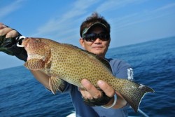 South Current 釣果